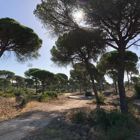 House With Private Pool, Costa De La Luz Vakantiehuis *